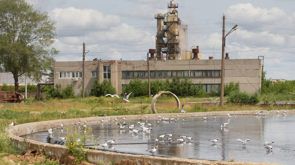 Депутаты собрались посетить станцию аэрации и Дмитрия Сивохина