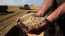 Мордовии необходимо почти на треть увеличить производство зерна