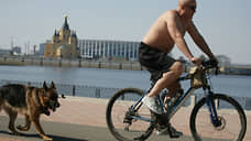 Мэрия Нижнего Новгорода запретила выгуливать собак на Нижневолжской набережной