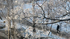 Похолодание до -30°C ожидается в Нижнем Новгороде в новогодние праздники