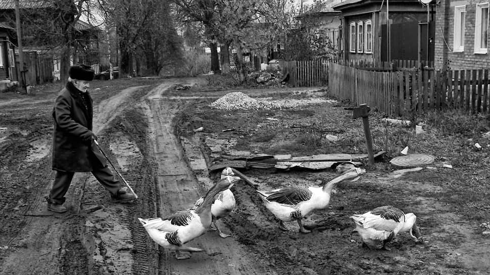 Борис Назаренко. Касимовские гуси, 2012. Фото предоставлено Русским музеем фотографии