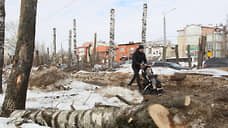 Программу Года семьи утвердили в Нижегородской области