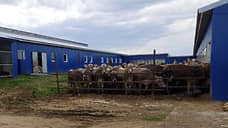 Из пожара на животноводческой ферме в Воротынском районе вывели 120 коров