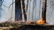 В Нижегородской области 95% лесных пожаров тушат в первые сутки