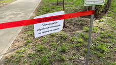 Число покусанных клещами нижегородцев выросло на 32%