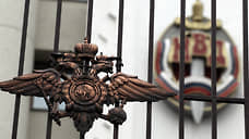 Скрывшегося от нижегородского суда россиянина депортировали из Турции в РФ