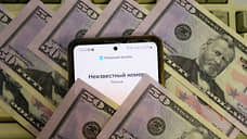 Нижегородка лишилась 2 млн рублей, решив заработать на инвестициях