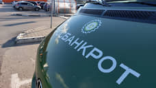 Число банкротов в Нижегородской области в первом полугодии выросло на 27%