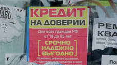 В Нижегородской области за полгода выявили 14 «черных кредиторов»