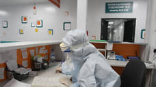 Штамм коронавируса «Стратус» зафиксирован в Нижегородской области
