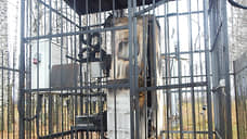 Дело о теракте возбудили из-за поджога станции сотовой связи в Павловском округе