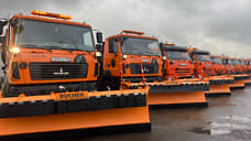 Снег с дождем ждут в Нижнем Новгороде с 15 ноября