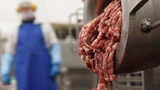 Нижегородская лаборатория выявила ДНК свиньи в говяжьем фарше