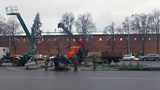 Новогоднюю елку начали устанавливать на площади Минина