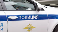 Нижегородца оштрафовали за перевозку Деда Мороза на крыше автомобиля