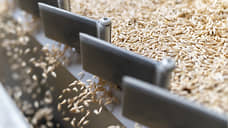 Более 290 тысяч тонн зерна недостоверно задекларировали в Нижегородской области