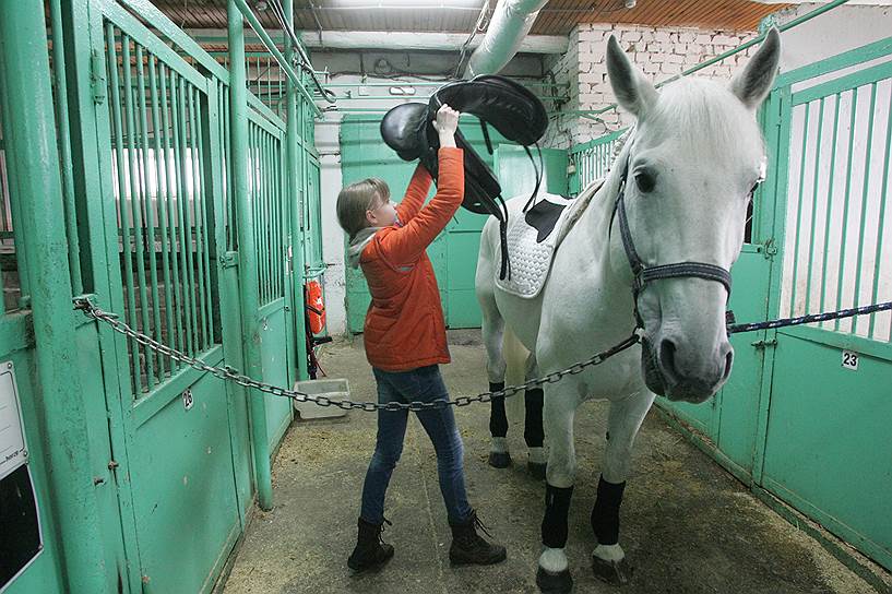 Оседлать коня умеет всякая уважающая себя воспитанница конно-спортивной школы