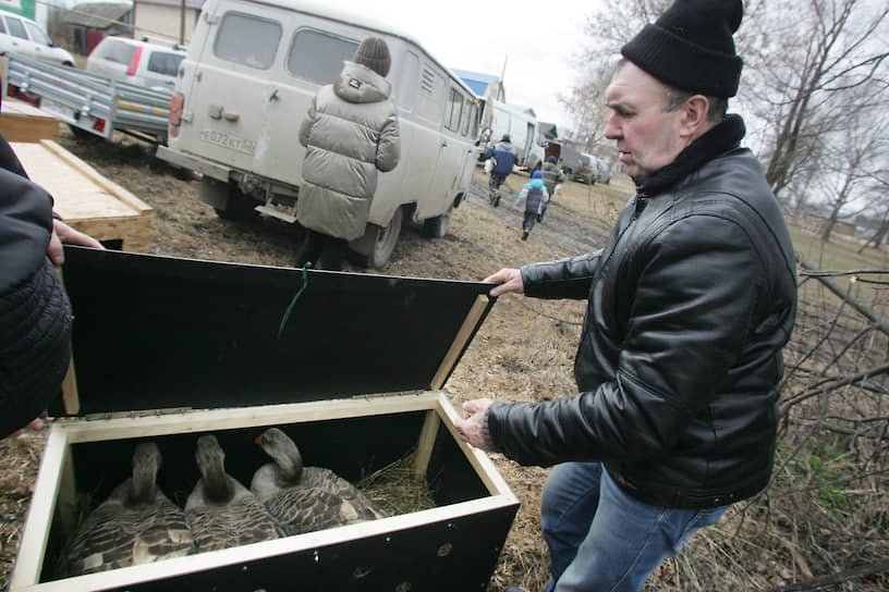 Приехавшие участники выпускают на волю свои сокровища