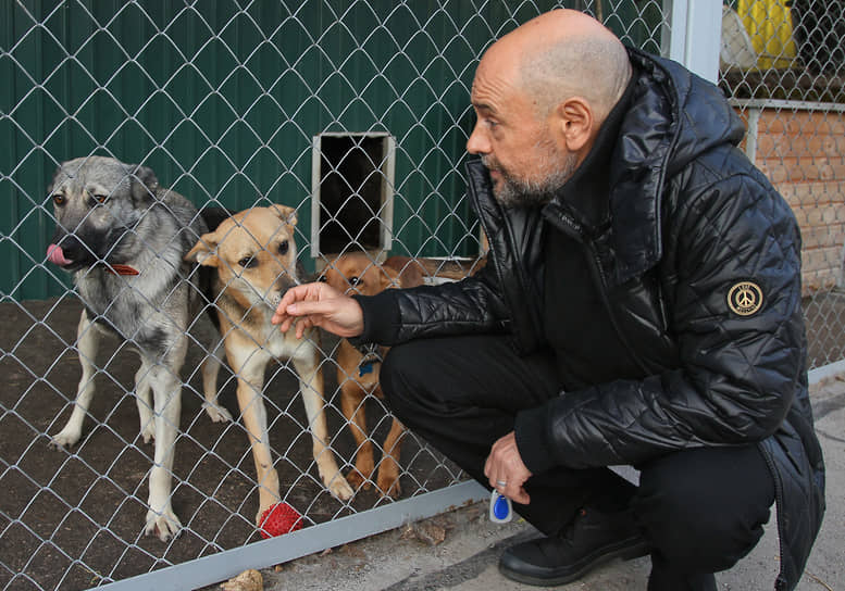 Лучше всех помогать бездомным животным получилось у Владимира Гройсмана, основавшего благотворительный фонд &quot;Сострадание-НН&quot;