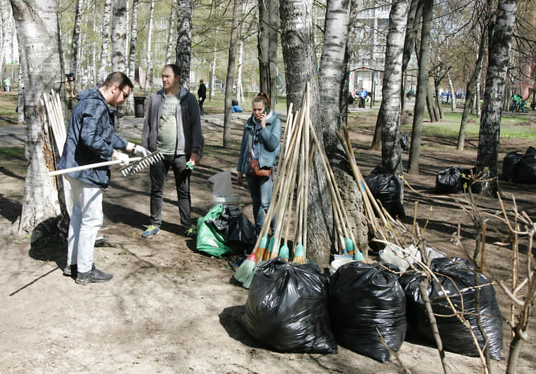 Проверка инструмента для очистки парка