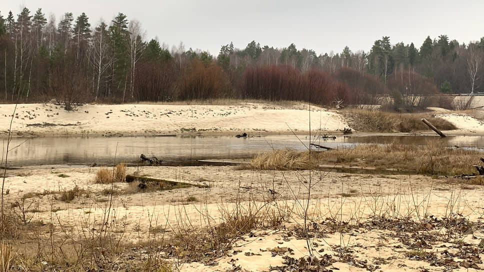 Керженский заповедник в Нижегородской области. Берег реки Керженец