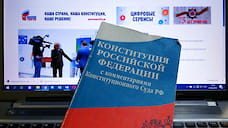 Электронное голосование по поправкам к Конституции будет проведено в Нижегородской области