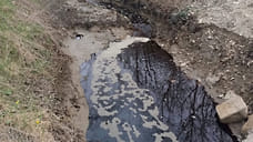 Под Новороссийском выявили загрязнение реки Озерейка из-за горящей свалки