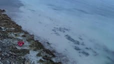 Под Новороссийском в Мысхако зафиксировали утечку в море технической воды