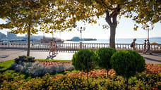 В круге света