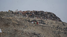 Попали в Цемес