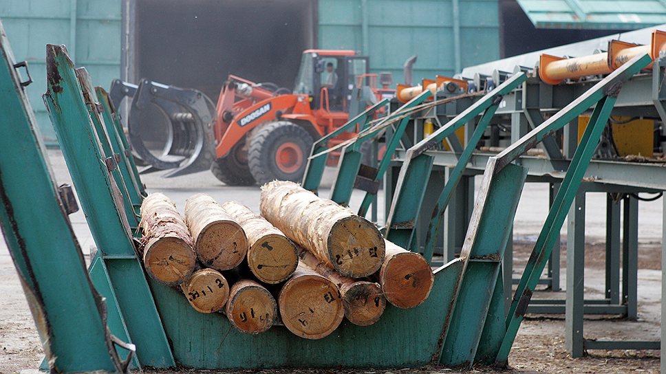 Имуществу обанкротившегося РКЛПК нашлось место в проекте реанимации лесопромышленного комплекса «Зеленая фабрика»