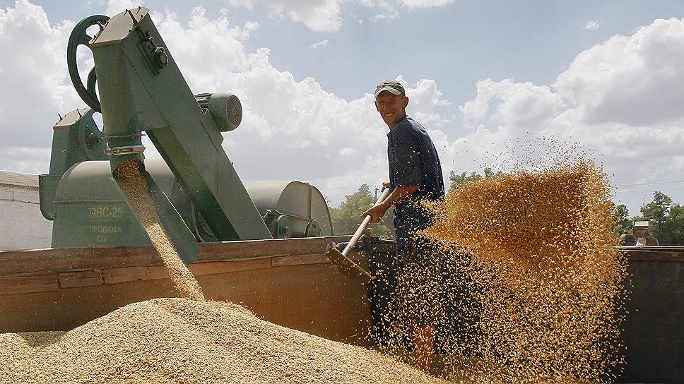 Власти считают экспорт зерновых вынужденной мерой из-за нехватки в регионе перерабатывающих мощностей