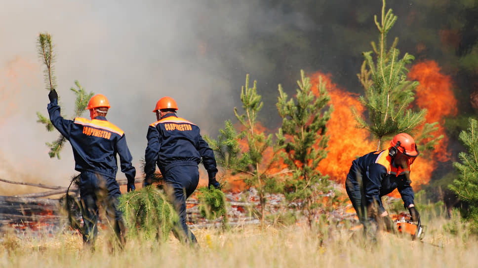 Как дым от лесных пожаров в Восточной Сибири достиг Урала
