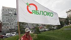 Новосибирское «Яблоко» выберет кандидата в мэры на первых для себя праймериз