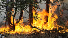 Огонь в Красноярском крае охватил почти 650 тысяч гектаров