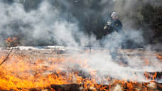 Площадь лесных пожаров в Иркутской области уменьшается