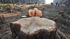 Ущерб от преступлений в лесной сфере Сибири превышает 10 млрд рублей