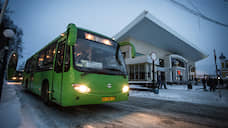 В обновление автобусного парка «Томскавтотранса» власти инвестируют 600 млн рублей