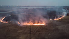 25 лесных пожаров потушили в Новосибирской области