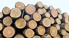 За незаконную рубку леса на 28 млн рублей суд вынес условный срок в Красноярском крае
