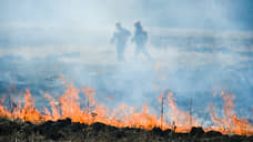 Огонь уничтожил почти половину жилых домов в омской деревне Каракуль