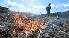 В регионах Сибири вводят особый противопожарный режим