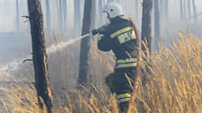 Губернатор Новосибирской области: ситуация с природными пожарами в регионе стабилизировалась