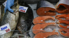 Новосибирская рыбная компания начала поставки окуня в Нидерланды