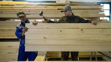 Предприятие по глубокой переработке древесины будет создано в Кузбассе за 665 млн рублей