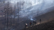 Около 1,2 тыс га пройдено огнем на землях лесного фонда в Сибири