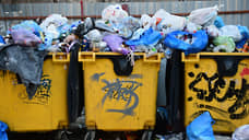 Власти сообщили о возобновлении вывоза мусора с контейнерных площадок Новосибирска