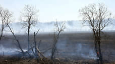 Особый противопожарный режим введен в 11 муниципалитетах Томской области