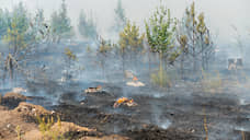 Под Минусинском загорелся лес между школой и пилорамой, полиция поднята по тревоге