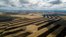 В Туве завершена посевная, засеяно на 10% меньше планируемого